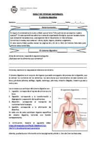 5° Básico Ciencias Naturales Guía 7 Valeria Bravo | Colegio Santa María ...